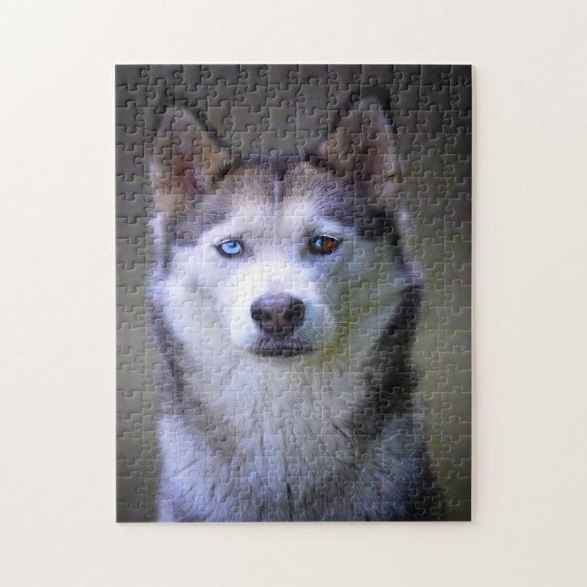 Sibirischer Husky Jigsaws. (Vertikal)