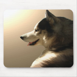 Sibirischer Husky Mousepad