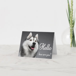 Sibirischer Husky-Welpenhund Hallo, Ich denke an D Karte