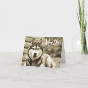 Sibirischer Husky-Welpenhund Hallo, Ich denke an D Karte
