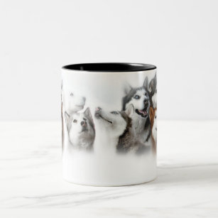 Sibirischer Husky Zweifarbige Tasse
