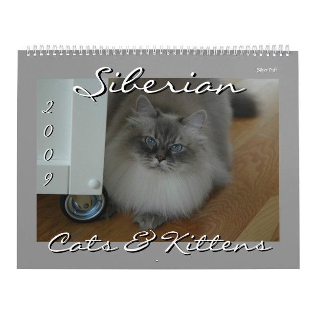 Sibirischer Katzen-und der Kätzchen-09 Kalender (Titelbild)