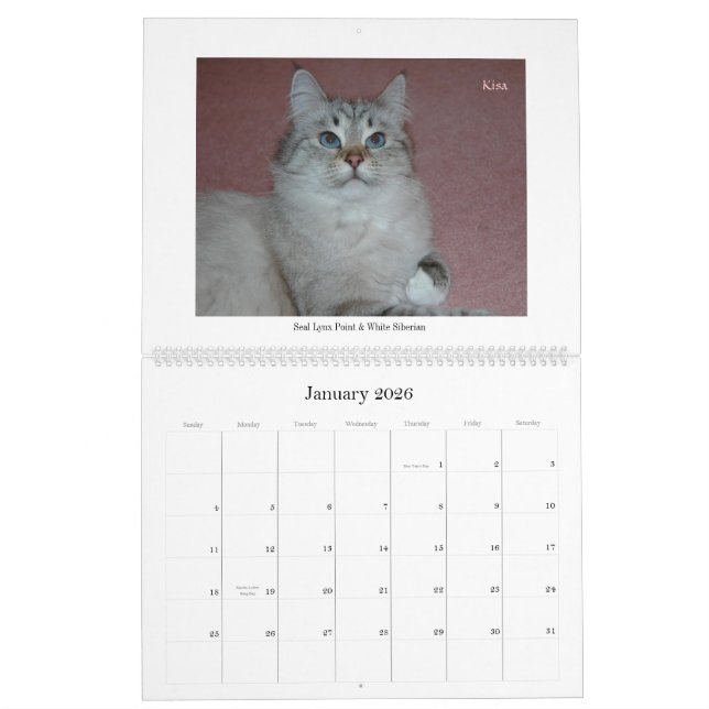 Sibirischer Katzen-und Kätzchen-Kalender Final2 Kalender (Jan 2026)