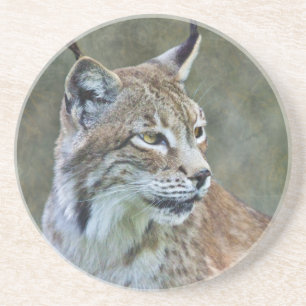 Sibirischer Luchs-Achterbahn Sandstein Untersetzer