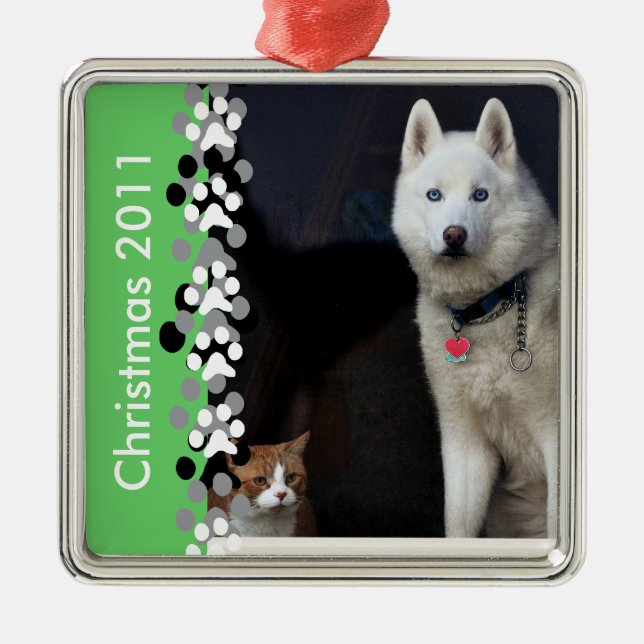 Sibirischer Schlittenhund-Foto Silbernes Ornament (Vorne)