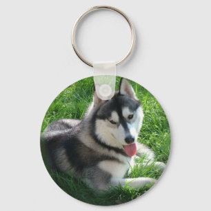 Sibirischer Schlittenhund-HundeSchlüsselanhänger Schlüsselanhänger