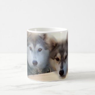 Sibirischer Schlittenhund-Tasse Kaffeetasse