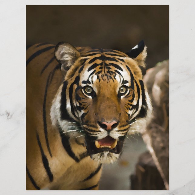 Sibirischer Tiger (Vorderseite)