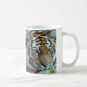 Sibirischer Tiger, Amur-Tiger Kaffeetasse