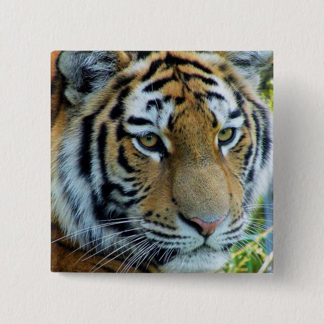 Sibirischer Tiger, Amur-Tiger-Knopf Button (Vorderseite)