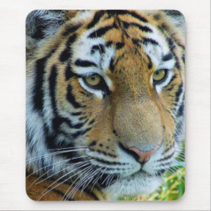 Sibirischer Tiger, Amur-Tiger-Mauspad Mousepad