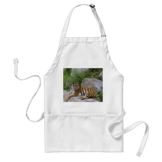 Sibirischer Tiger auf einem Felsen Schürze (Vorne)