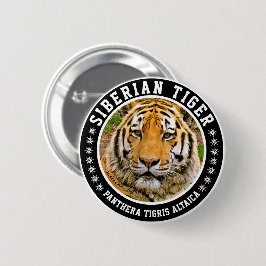 Sibirischer Tiger Button