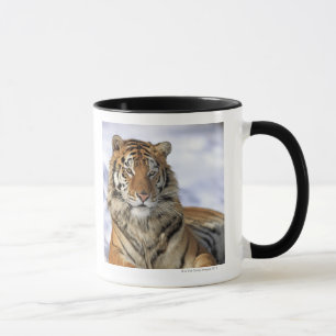 Sibirischer Tiger, der Pantheratigris altaica, Tasse