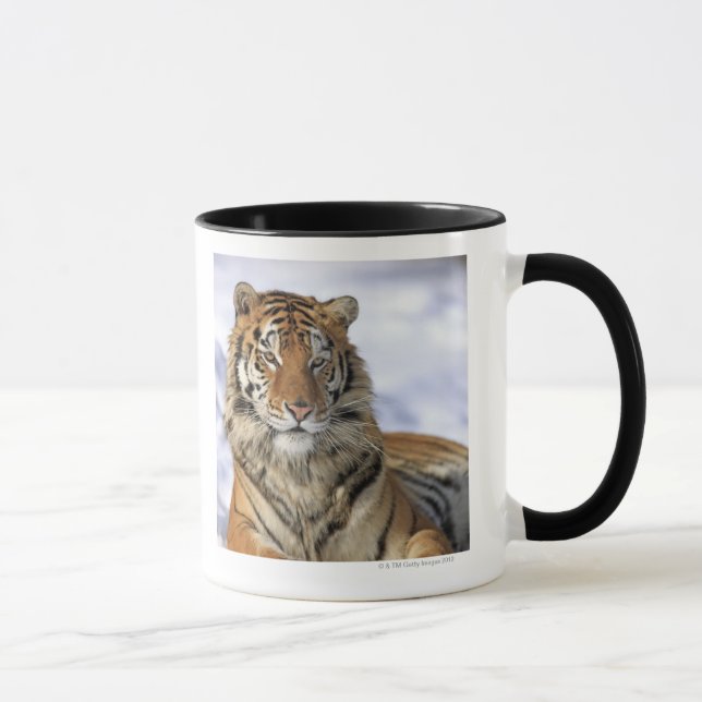 Sibirischer Tiger, der Pantheratigris altaica, Tasse (Rechts)