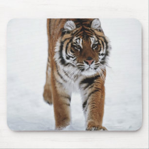 Sibirischer Tiger im Schnee Mousepad