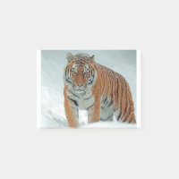 Sibirischer Tiger im Schnee