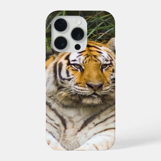 Sibirischer Tiger iPhone 15 Pro Hülle (Rückseite)