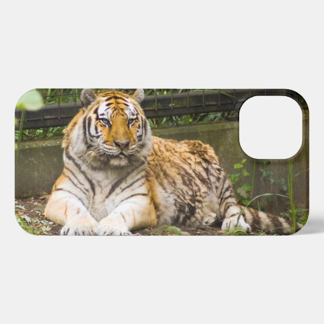 Sibirischer Tiger iPhone Hülle (Rückseite (Horizontal))