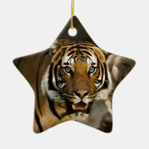 Sibirischer Tiger Keramik Ornament