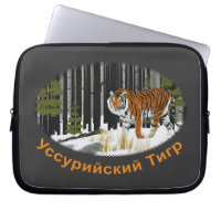 Sibirischer Tiger