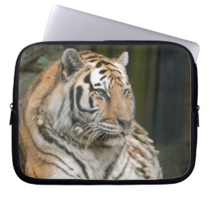 Sibirischer Tiger Laptopschutzhülle