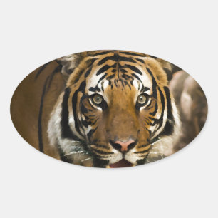 Sibirischer Tiger Ovaler Aufkleber