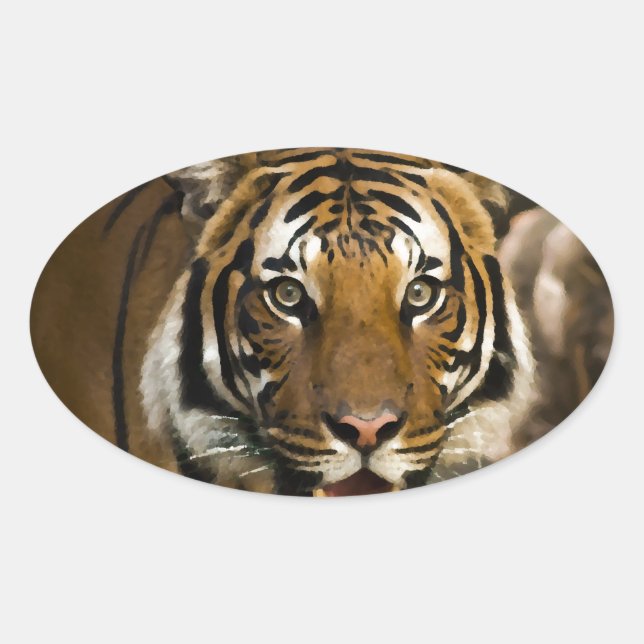Sibirischer Tiger Ovaler Aufkleber (Vorderseite)