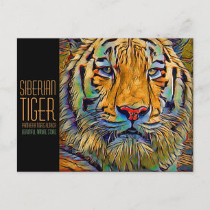 Sibirischer Tiger [Postkarte] Postkarte