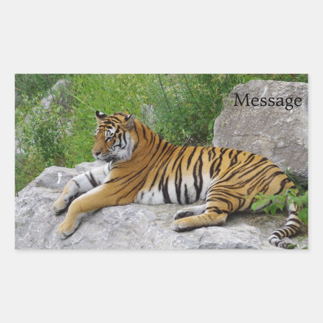 Sibirischer Tiger Relaxen auf einem Felsen Rechteckiger Aufkleber (Vorderseite)