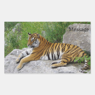 Sibirischer Tiger ruht sich auf einem Felsen aus Rechteckiger Aufkleber