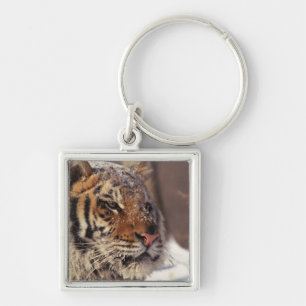 Sibirischer Tiger Schlüsselanhänger