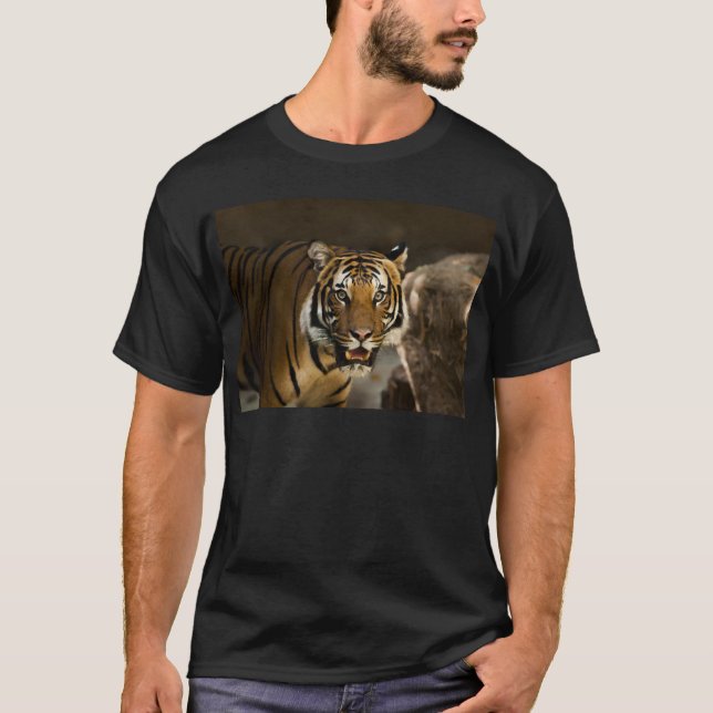 Sibirischer Tiger T-Shirt (Vorderseite)