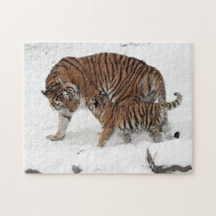 Sibirischer Tiger und CUB-Puzzlespiel