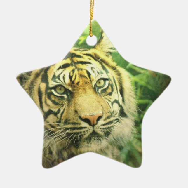 Sibirischer Tiger-Verzierung Keramikornament (Vorne)