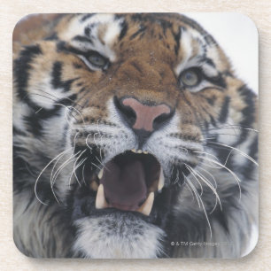 Sibirischer verwirrender Tiger Untersetzer