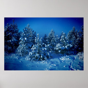 Sibirischer Winter Poster