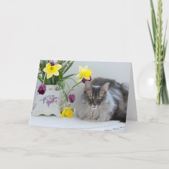 Siblons Grußkarte Karte (Vorderseite)