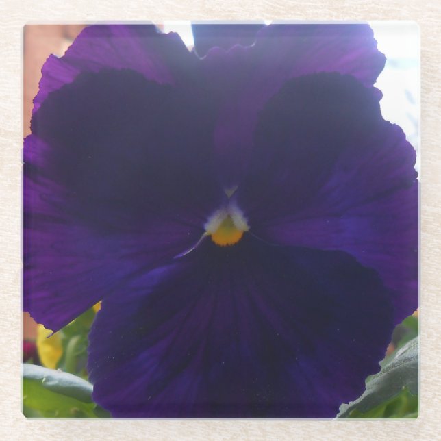 Sibylla Glasuntersetzer (Vorderseite)