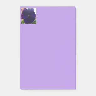 Sibylla Post-it Klebezettel