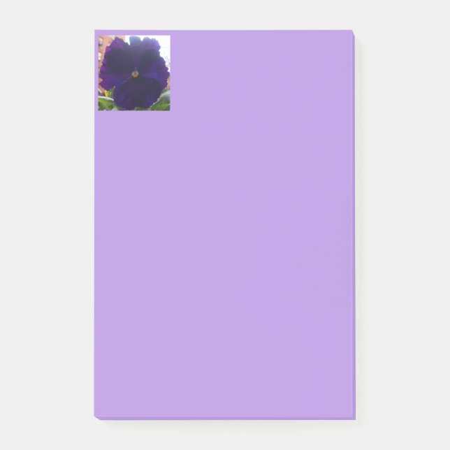 Sibylla Post-it Klebezettel (Vorderseite)