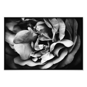 sich entfaltendes Innenleben Fotodruck