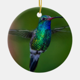 Sich hin- und herbewegender Kolibri Keramik Ornament