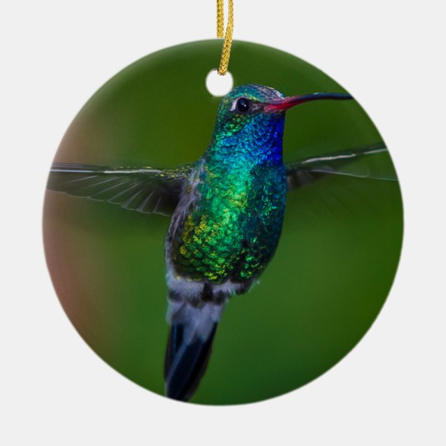 Sich hin- und herbewegender Kolibri Keramik Ornament (Vorne)