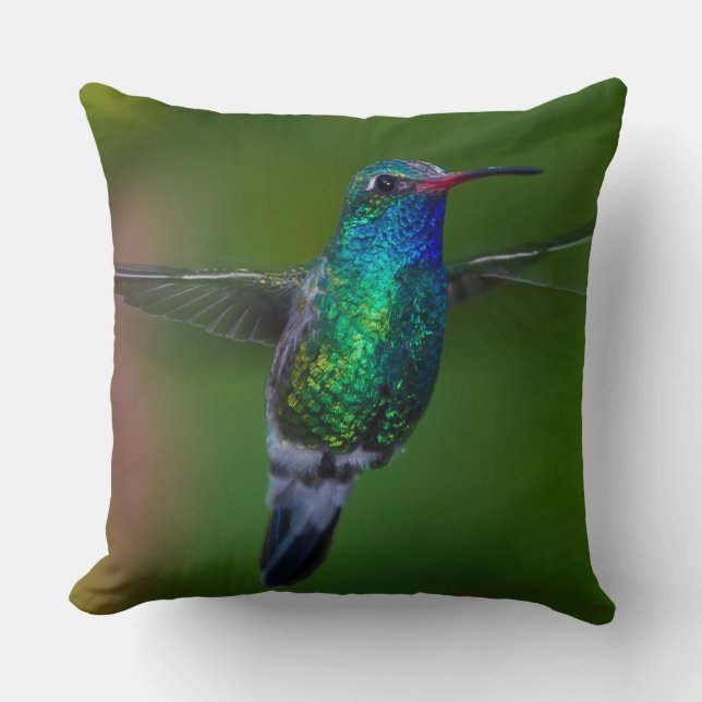 Sich hin- und herbewegender Kolibri Kissen (Vorderseite)