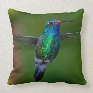 Sich hin- und herbewegender Kolibri Kissen