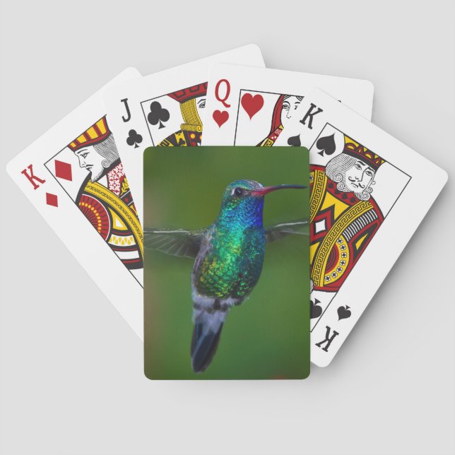 Sich hin- und herbewegender Kolibri Spielkarten (Rückseite)