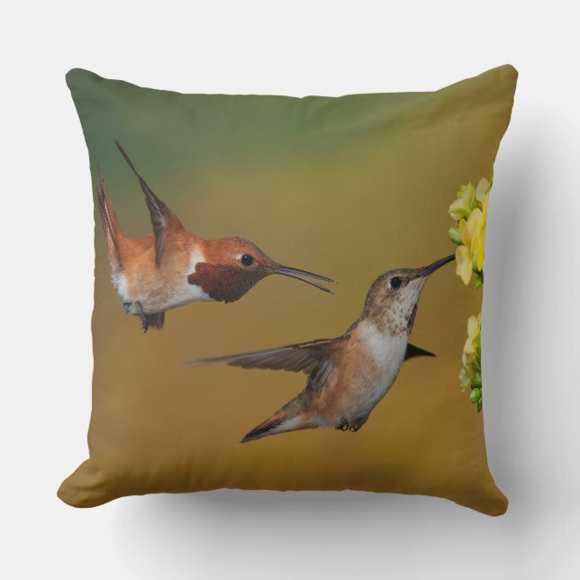 Sich hin- und herbewegender Rufous Kolibri Kissen (Vorderseite)