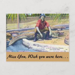 Sich in Florida entspannen Postkarte