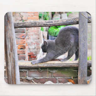 Sich streckende Katze Mousepad
